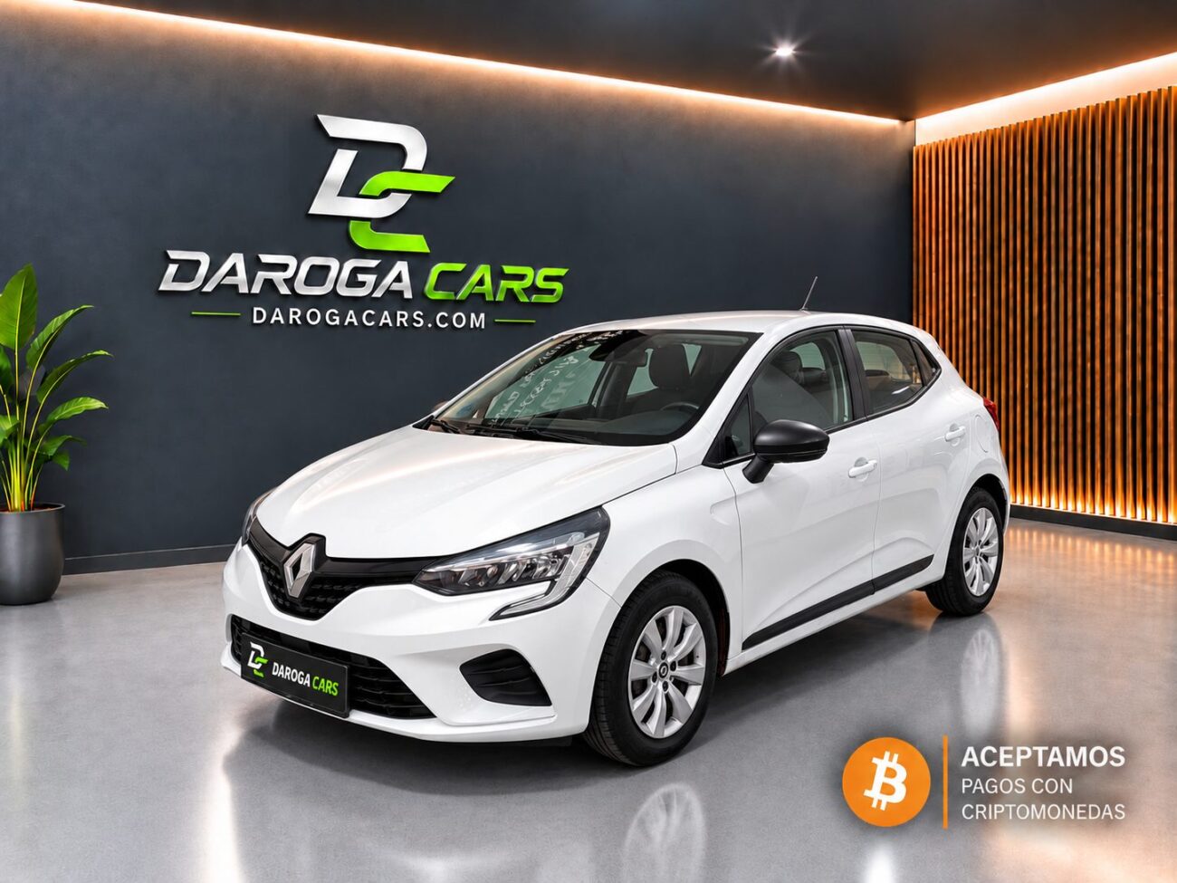 RENAULT Clio BUSINESS